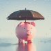 House Budget Committee Seeks to Reform Emergency Spending as Senate Prepares to Raid Rainy Day Funds