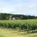 UK Sparkling Wine Gains Global Recognition Amid Industry Boom