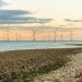 Ed Miliband launches state-backed offshore wind initiative