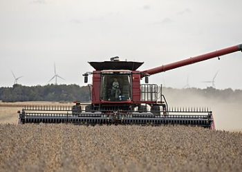 Kennedy Says Cut Subsidies for Farmers and Junk Food