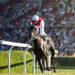 Betting on Victory: How to Decode Breeders’ Cup Odds Like a Pro