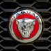 Jaguar retires iconic ‘growler’ logo in electric rebrand to attract new generation
