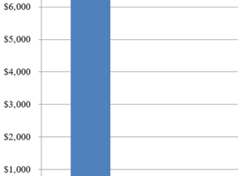 Government Reform: DOGE + E