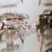 Eyewear Retailer Vision Express Sees Steady Growth and Expansion