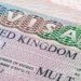 Unlocking Global Opportunities: A Comprehensive Guide to E-2 Business Visa for Investors