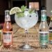 Fevertree taps Molson Coors with £71m stake sale to fuel US growth