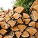 6 Best Woods for Heat and 6 Worst for Your Fireplace