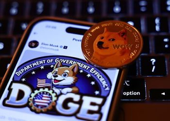 Six Ways to Understand DOGE and Predict Its Future Behavior