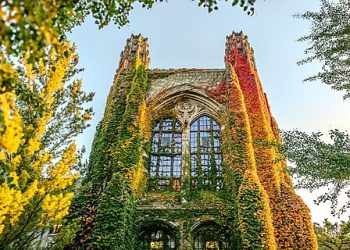 Call for Papers: Cato Health Policy Workshop 2025