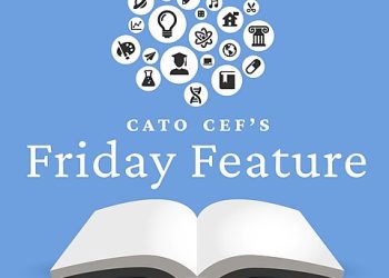 Friday Feature: MCP Academy