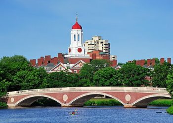 Why Is Harvard the Only University That Can’t Have International Students?