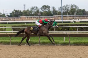 From Levies to Safeguards: How Gambling Taxes Can Boost Responsible Play