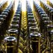 Wine shortage fears after bottling workers go on strike at key UK facility