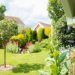 Why More Homeowners Are Investing in Their Gardens and What Businesses Can Learn from It