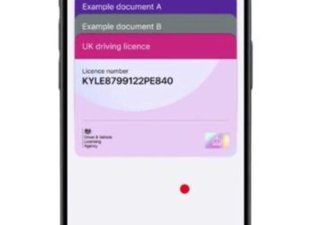 DVLA to roll out digital driving licences by end of year in major services overhaul