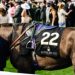 British horse racing to strike for first time in protest at betting tax hike