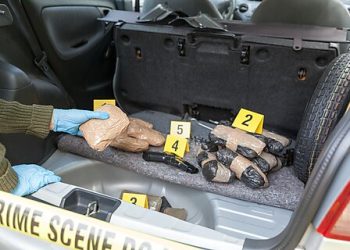 US Citizens Were 80 Percent of All Convicted Drug Traffickers in 2024