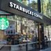 Starbucks to shut cafés and axe 900 jobs in £750m rescue plan as sales slump and UK losses mount