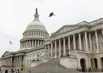 Report: 201,000 Federal Employees Let Go Since January—A Good Start