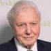 Sir David Attenborough, 99, becomes oldest daytime Emmy winner