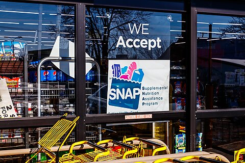 Starving for Accountability: Aligned Incentives, Not Mass Recertification, Will Fix SNAP