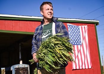 A Tale of Two Cannabinoids: Congress’s Protectionist Pivot and Policy Dissonance