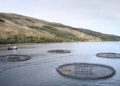Scottish salmon delivers £1bn boost to economy as new report reveals soaring impact