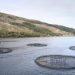 Scottish salmon delivers £1bn boost to economy as new report reveals soaring impact