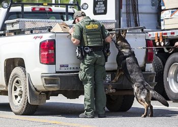 UFW v. Noem Brief: Border Patrol Unconstitutionally Targeted Kern County Residents Based on Ethnicity