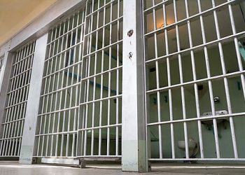 Singleton v. Hamm Brief: Federal Courthouses Should Hear Over-Detention Claims