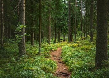 Congress Moves to Avoid a Government Shutdown with More Spending in Cap-Busting Deal