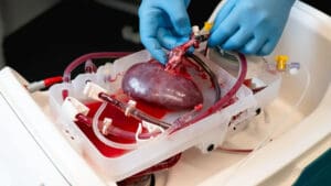 BGF posts strong deal flow and landmark exits in 2025, returning £600m to investors