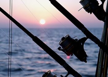 The Government’s Relentless Pursuit of Herring Fishers’ Money