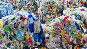 MPs back UK innovators as Britain steps up fight against plastic pollution