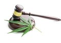 Marijuana Policy Between the New York Times Nanny State and Chaos