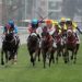How Major Sporting Events Like Cheltenham Festival Impact The UK Economy