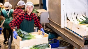 Anchr raises $5.8M to bring AI-native automation to America’s food supply chain