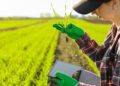 Bindbridge raises $3.8m to fight herbicide resistance with AI-designed crop protection