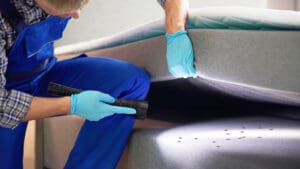 Understanding Bed Bugs: Causes, Signs, and Effective Treatment Options