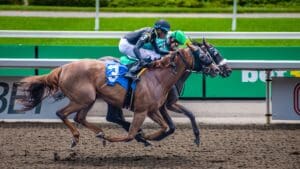 Odds, trends and predictions: all the numbers behind the Grand National