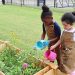 Educational Freedom and a Brighter Future for Every Child