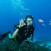 Beyond the Reef – What Komodo’s Diving Economy Teaches Hotels and Resorts About High-Value Hospitality