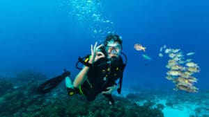 Beyond the Reef – What Komodo’s Diving Economy Teaches Hotels and Resorts About High-Value Hospitality