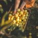 Food prices climb for third month in a row as Iran tensions squeeze global supply chains