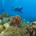 Beyond the Reef – What Bali’s Diving Economy Can Teach Indonesia’s Hospitality Sector