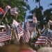 Election Policy Roundup #25: Target-Hardening the Midterms