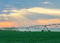 This Farm Subsidy Program Has the Highest Improper Payment Rate