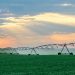 This Farm Subsidy Program Has the Highest Improper Payment Rate