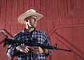 Four States, One Rifle: Second Amendment Legal Fights On Multiple Fronts