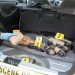 The UN’s Drug Report Makes an Unintended Case Against Prohibition